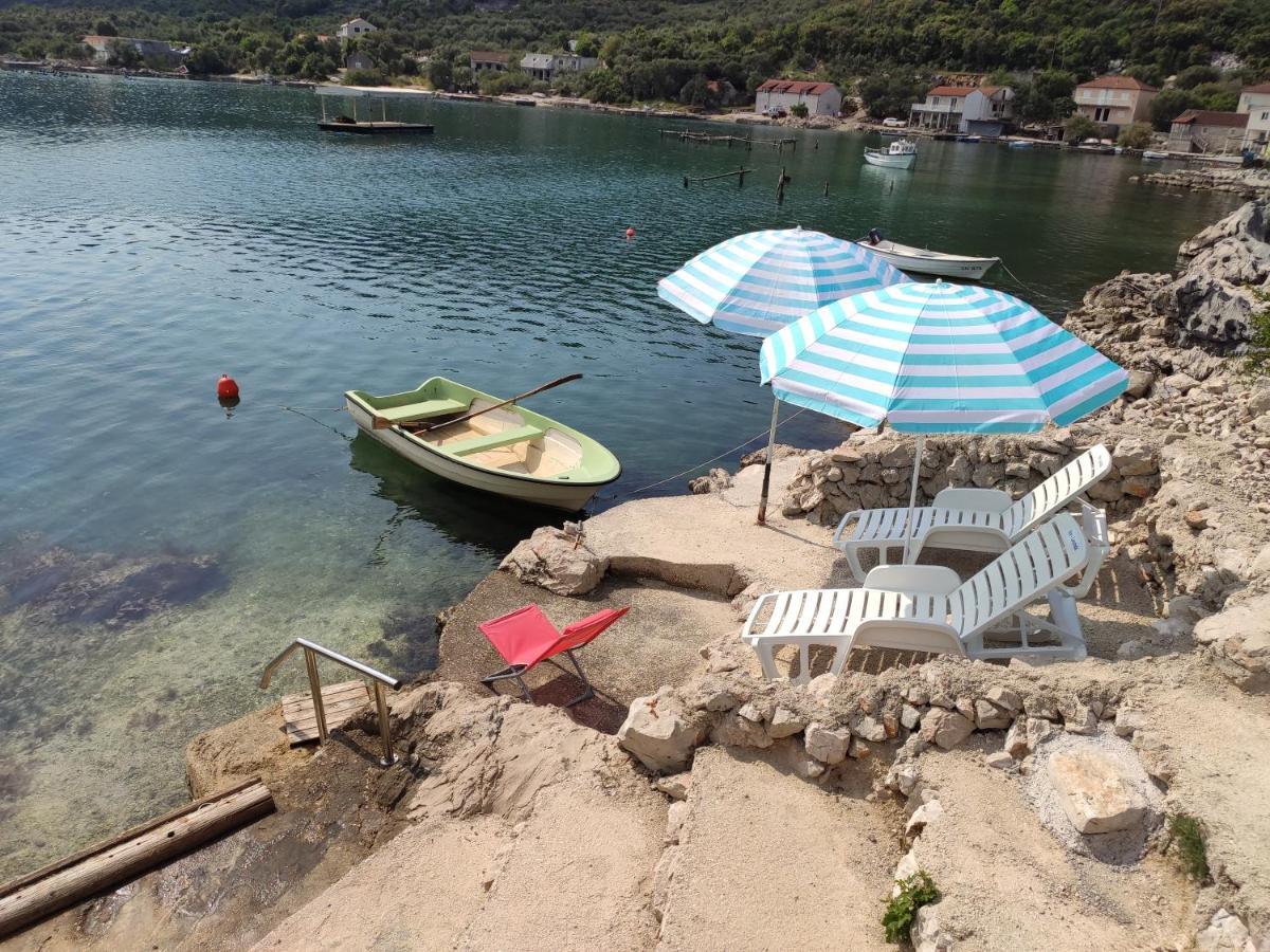 Iva Lavanda Putnikovic Bagian luar foto